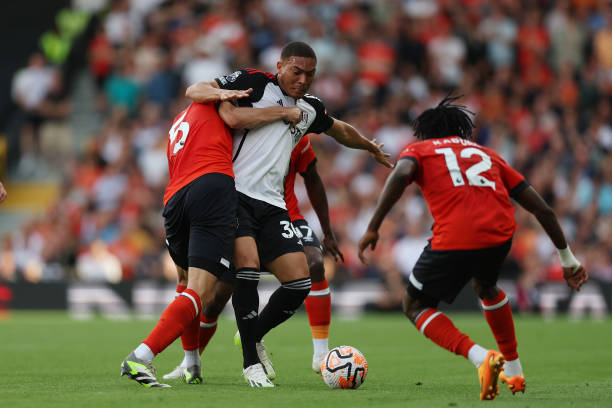 待艾维的回 待艾维的回